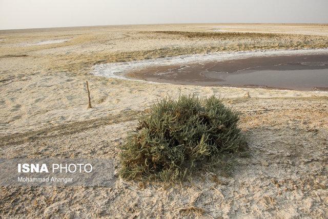 سیستان و بلوچستان در آتش سوزان خشکسالی سیستان و بلوچستان در آتش سوزان خشکسالی