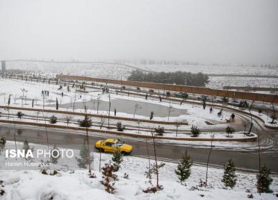 برف بهاری در شیراز
