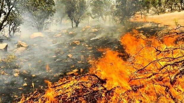 پیش بینی ماهواره ای از ریسک آتش سوزی زاگرس در هفته آینده پیش بینی ماهواره ای از ریسک آتش سوزی زاگرس در هفته آینده