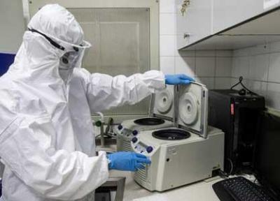 23 جهش ویروس کرونا در کشور کشف شد ، 4 جهش مختص ایرانی ها است