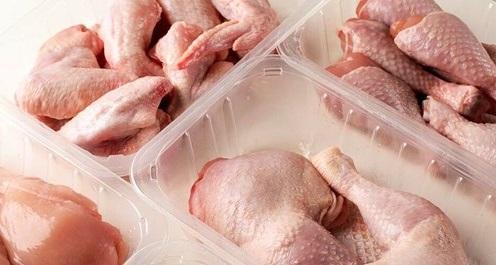صادرات مرغ ممنوع شد خبرنگاران