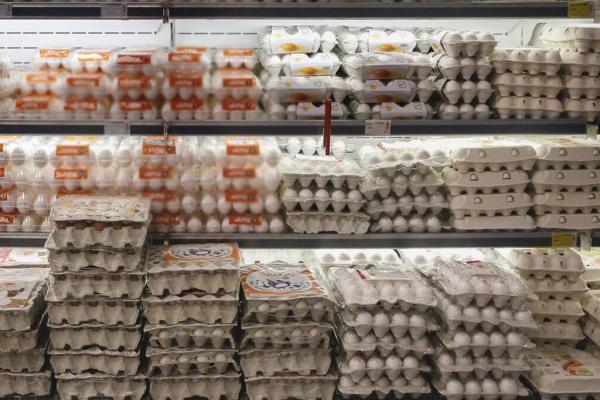 کاهش قیمت تخم مرغ در میادین ، یک شانه 30 عددی چند شد؟