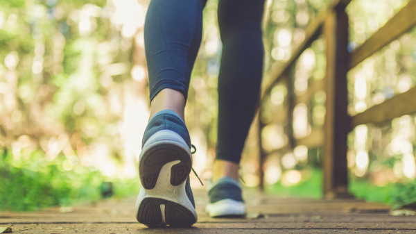 چگونه عادت پیاده روی سالم را شروع کنیم؟