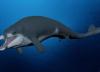 فسیل یک نهنگ کوچک با قدمت 41 میلیون سال در مصر کشف شد