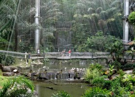 باغ پرندگان مالزی